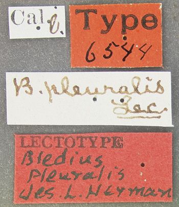 Media type: image;   Entomology 6544 Aspect: labels
